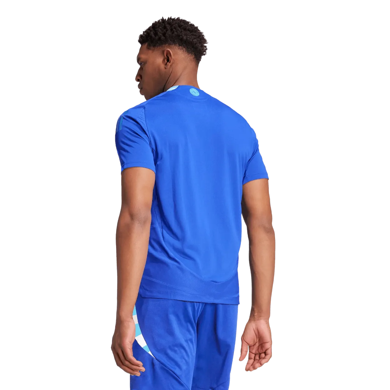 Argentina 2024 Away Authentic Jersey (IP8384)